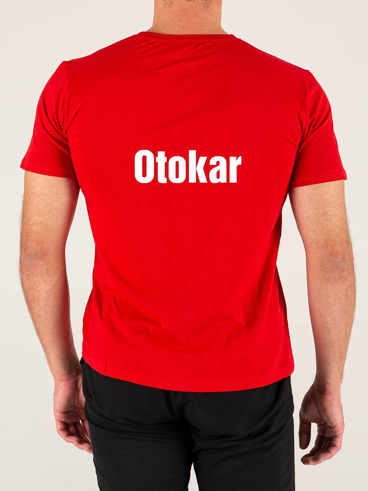 Baskılı Kırmızı Penye Tişört - Görsel 2